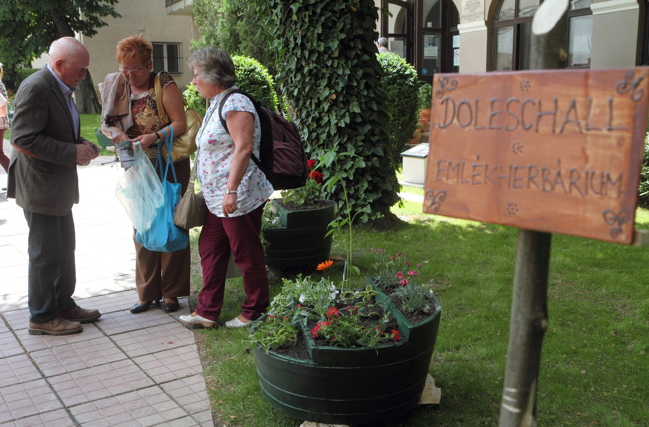 Emlékherbárium a Szabó Lőrinc könyvtár kertjében