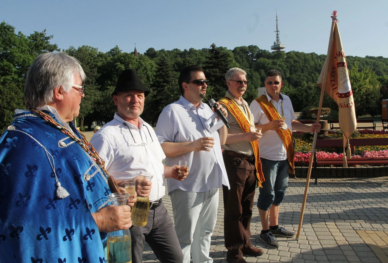 Koccintás és Fröcssfesztivál