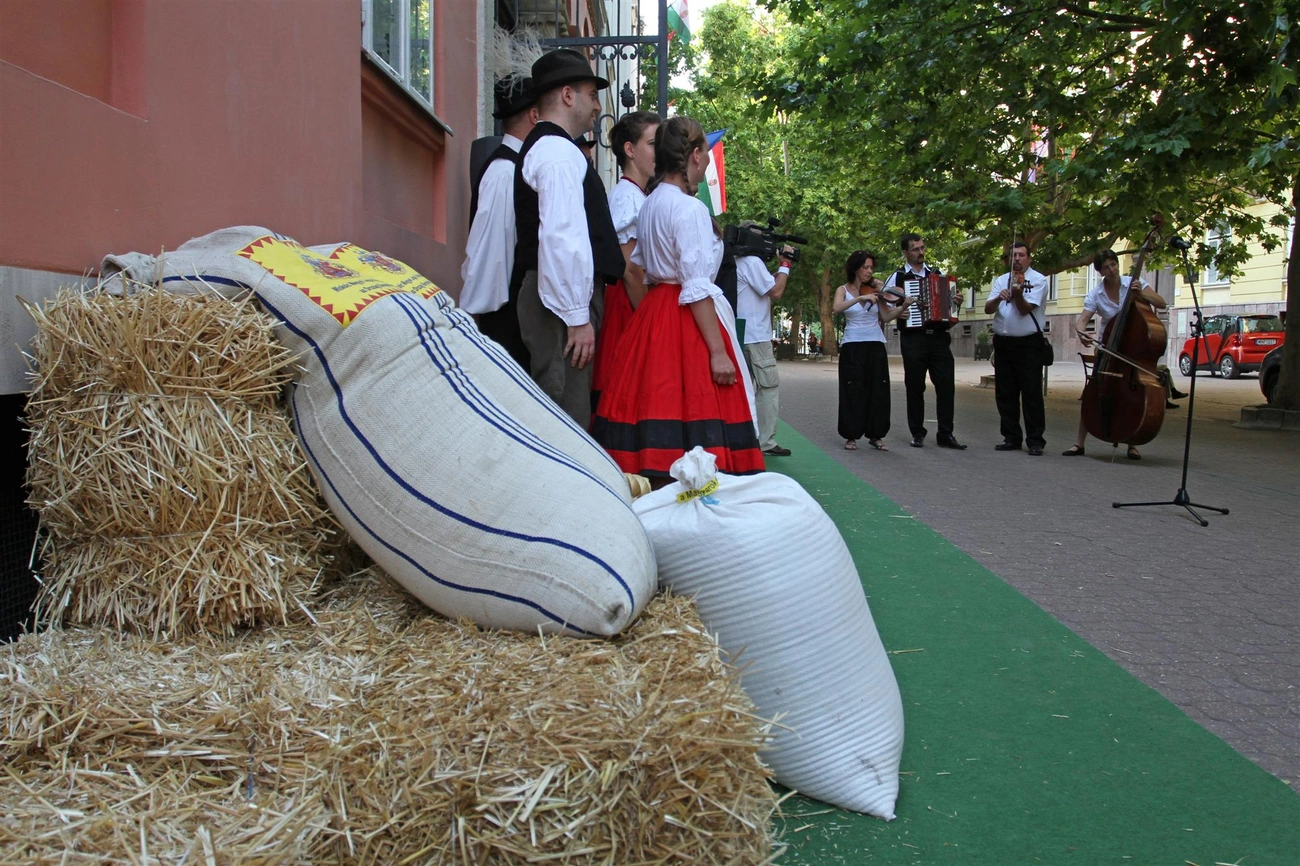 Miskolc Búzája az Ország Kenyeréhez