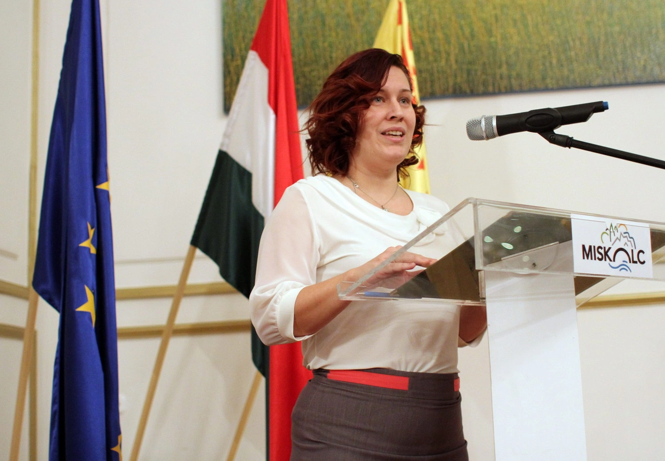 Nemzetiségek napja a városházán