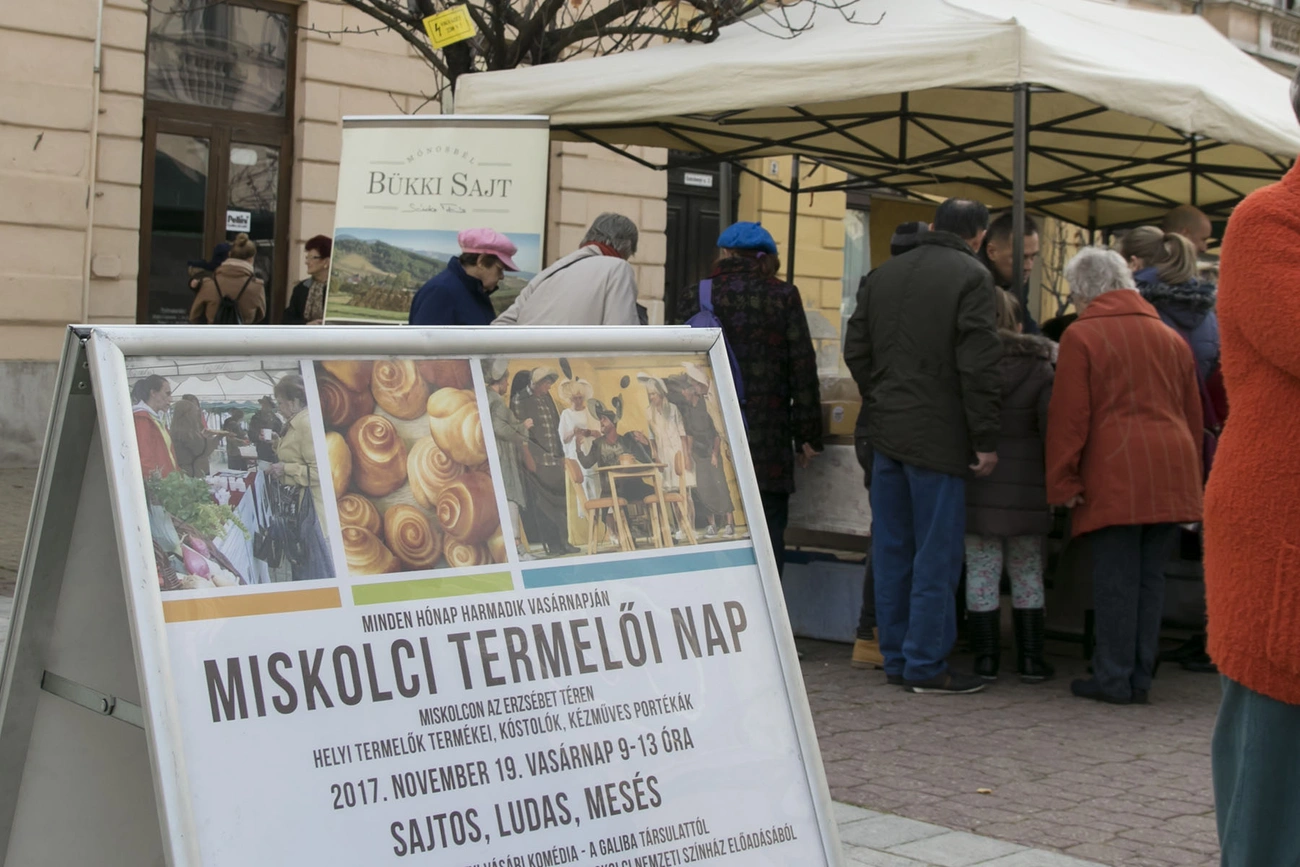 Termelői nap