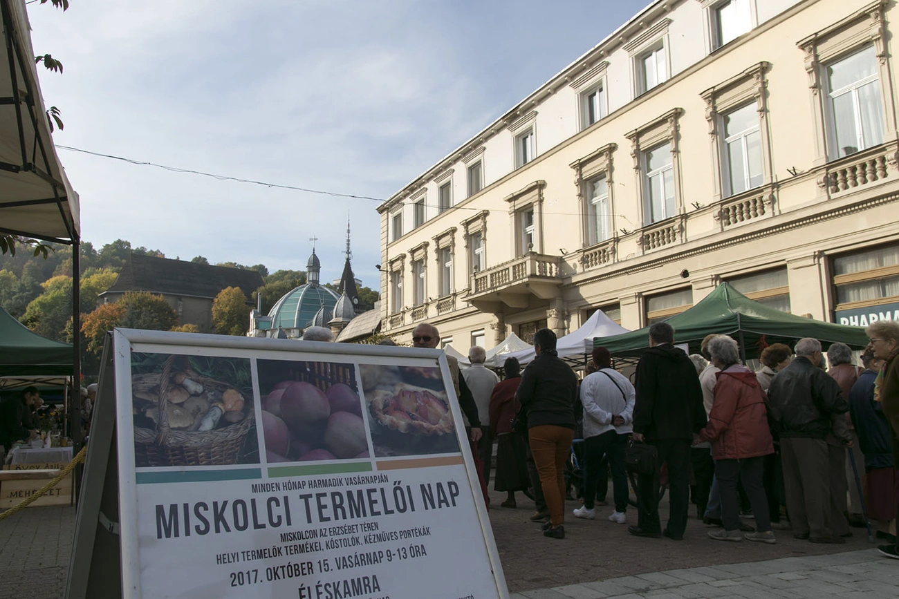 Termelői Nap és Pite páradé