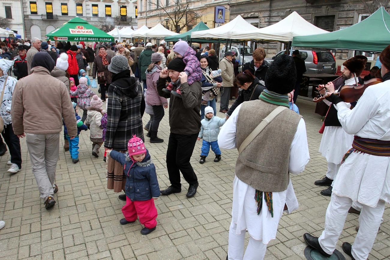 Termelői Nap az Erzsébet téren