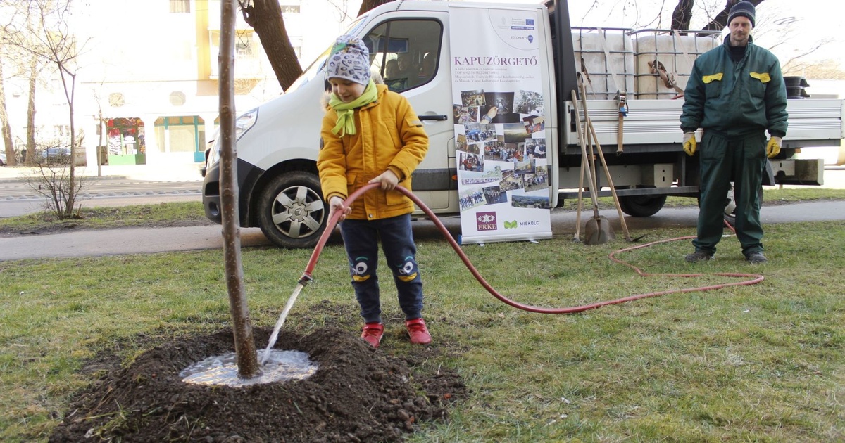Dgy Program Utcafásítási program indult a Győri kapuban